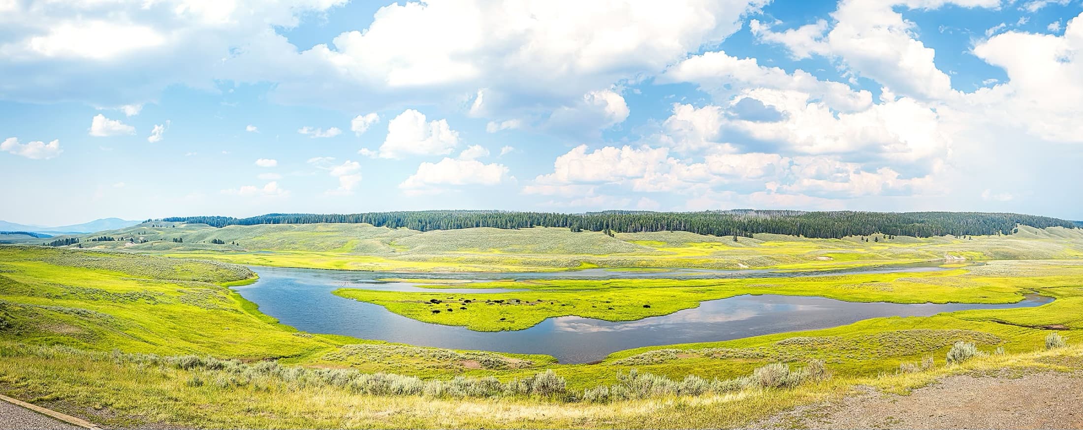 Wide prairie and river landscape